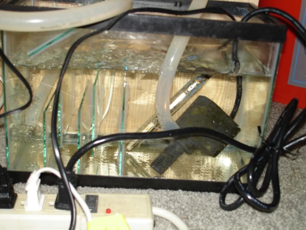 02-07-07NanoSump.jpg