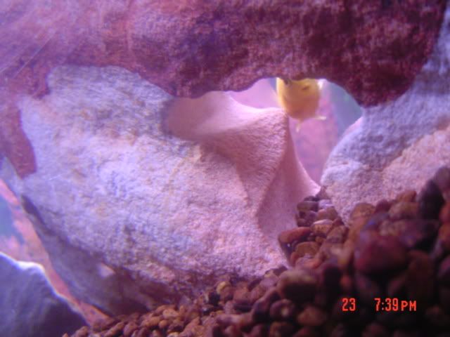 DSC03120.jpg