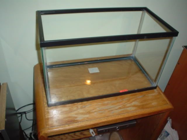 Picture015.jpg