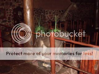 SDC10660.jpg