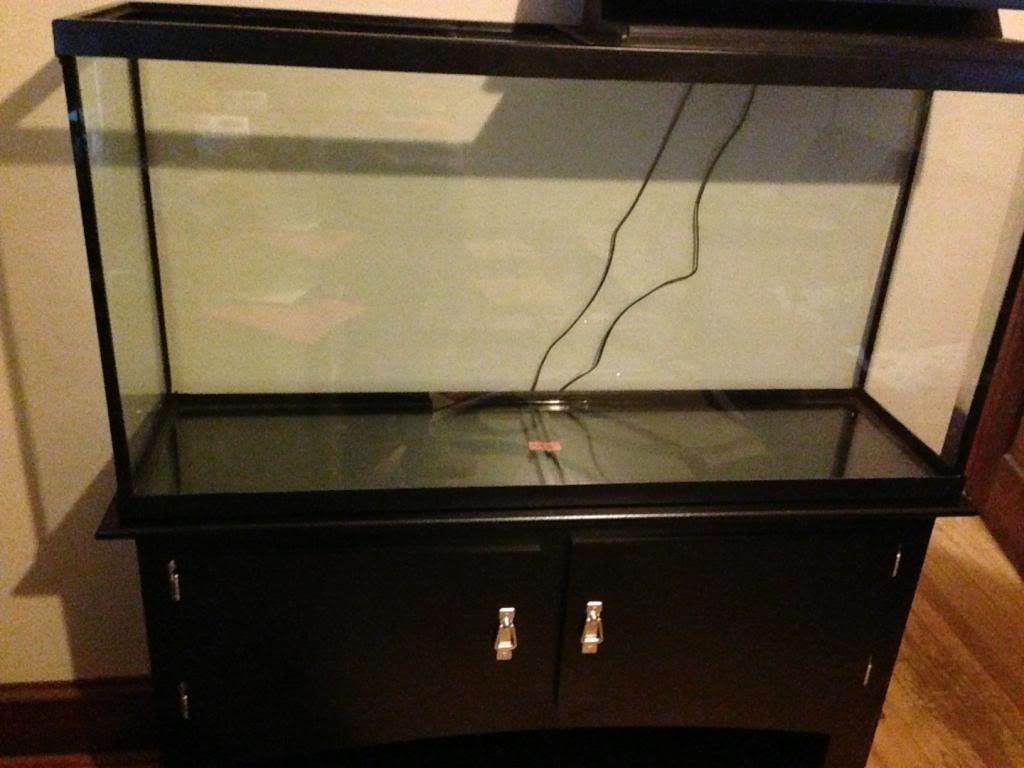 fishtank4.jpg