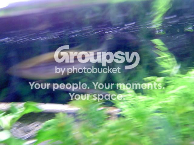 011.jpg