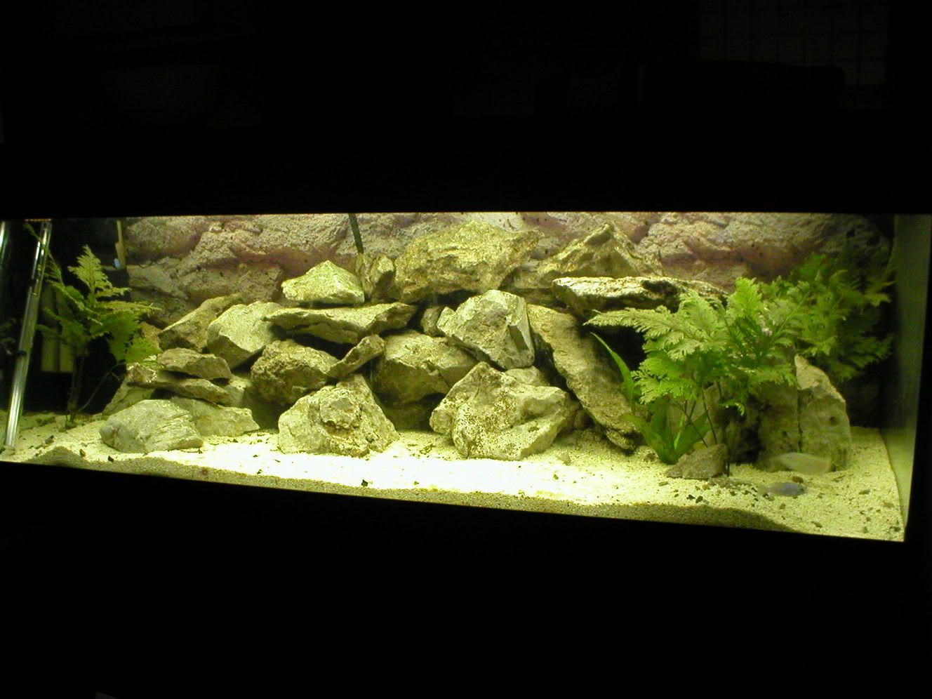 P1010076.jpg