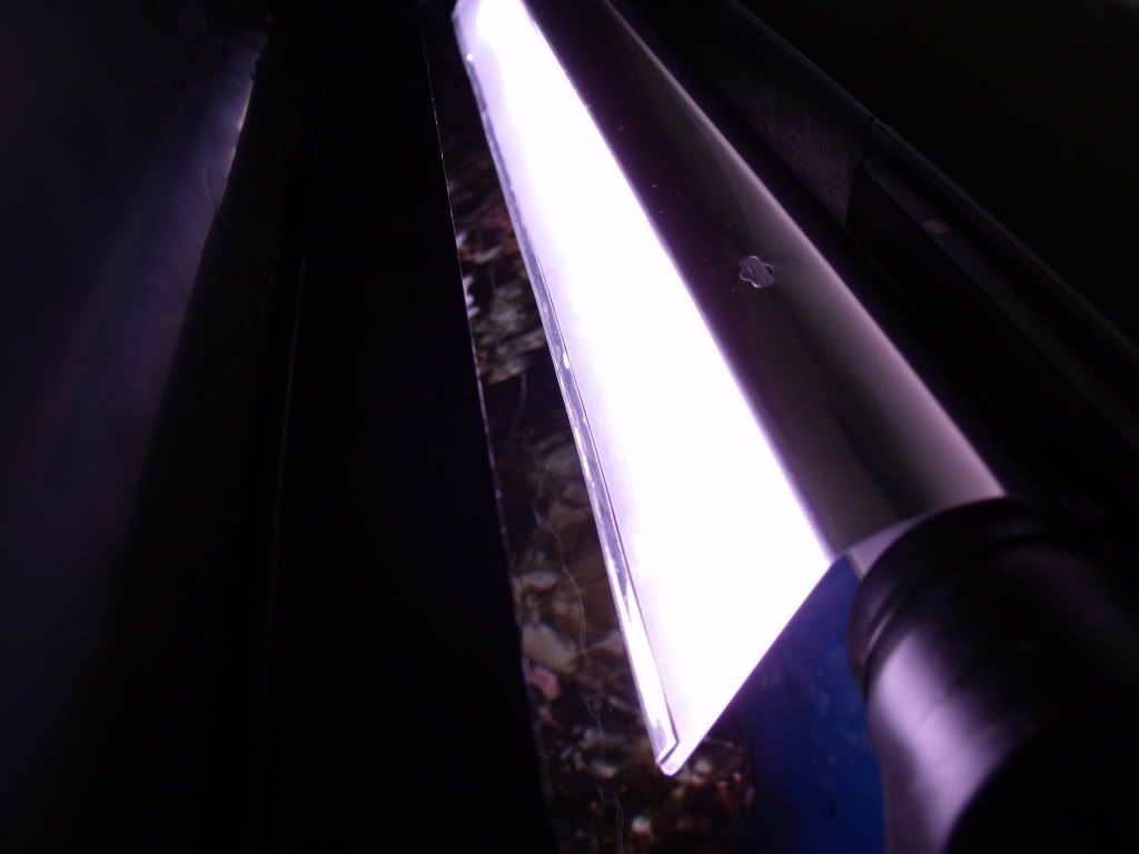 DSCF1658.jpg