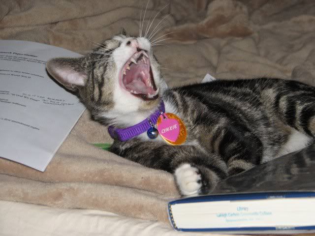 lynxie_dont_like_homework.jpg