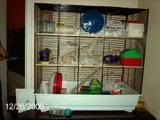 biscuitcage1.jpg