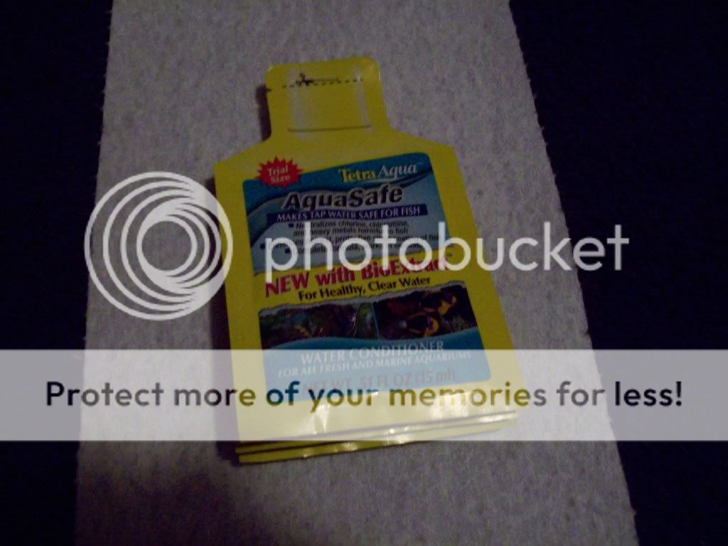 023-5.jpg
