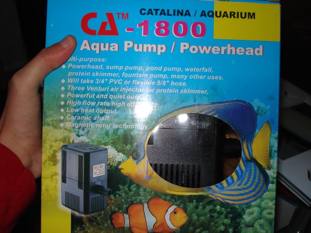 DSC02277.jpg