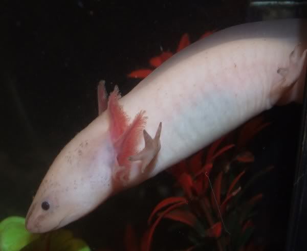 DSCF1592.jpg
