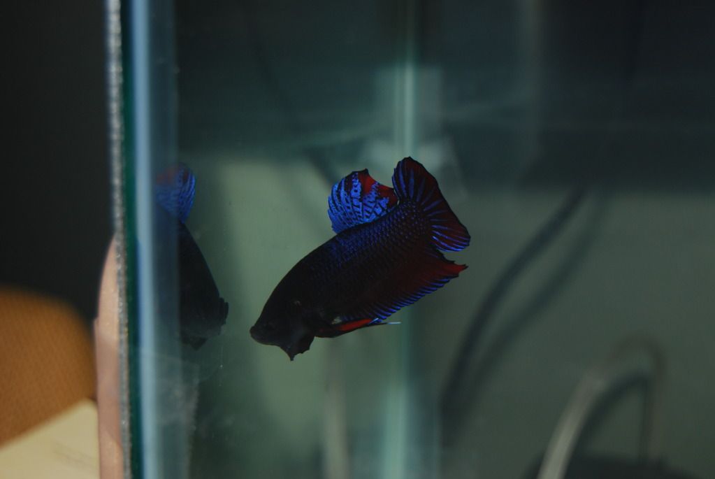 DSC_4579.jpg