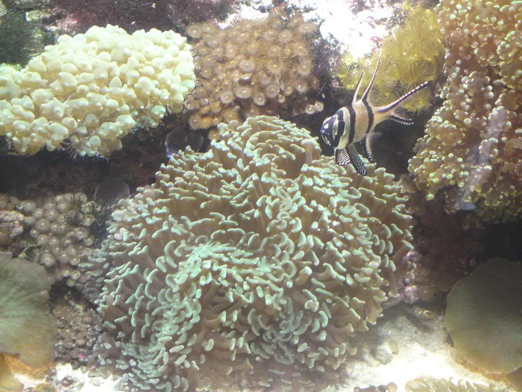 DSC00008-1.jpg