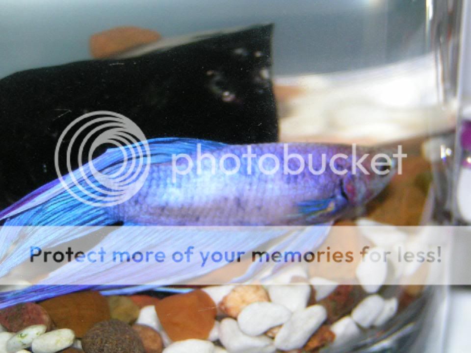 PICT0047.jpg