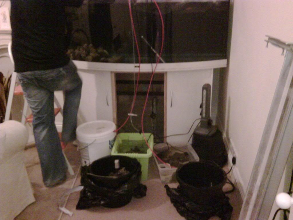 IMG00087-20090419-2208.jpg