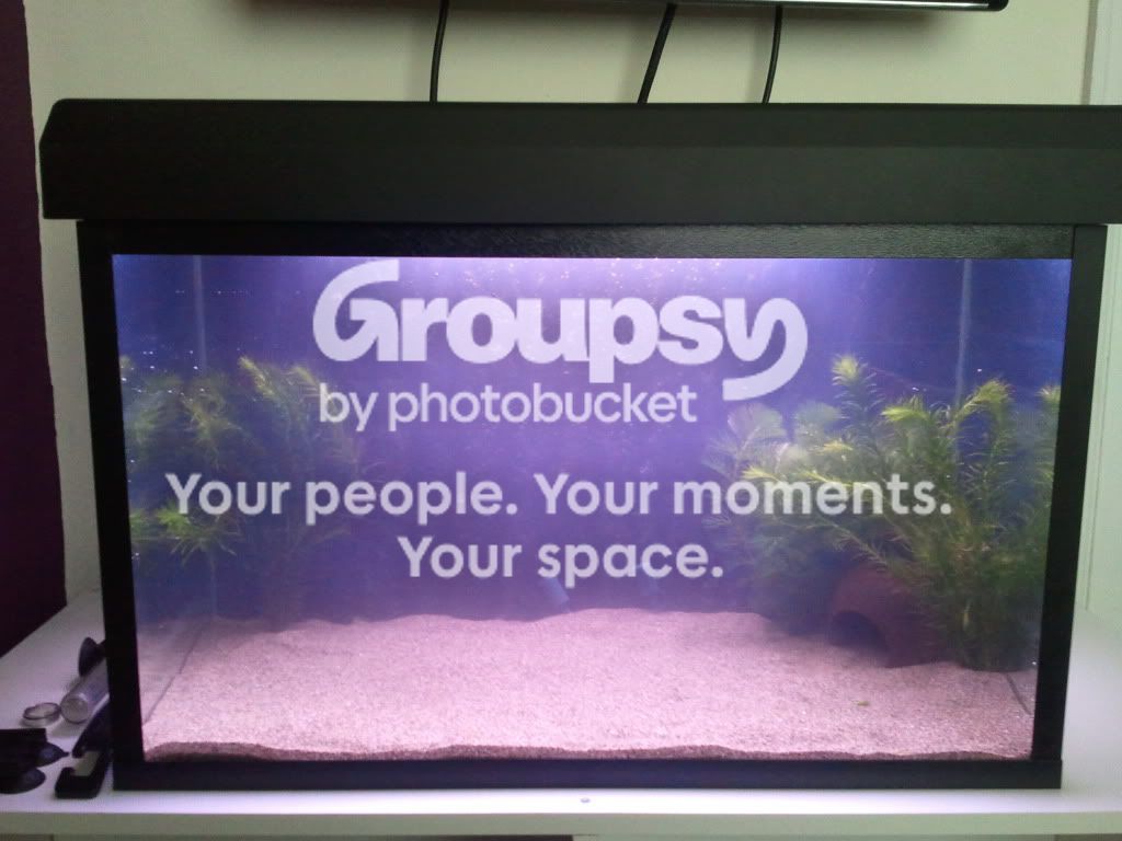 2011-08-07163932.jpg