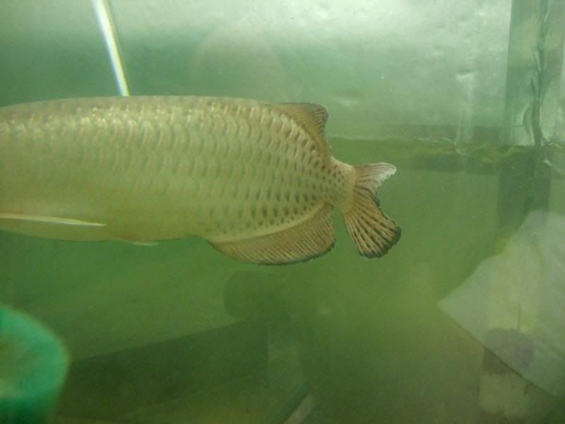 DSCF2607.jpg