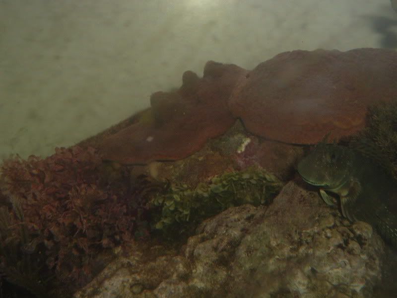 DSCF8011.jpg