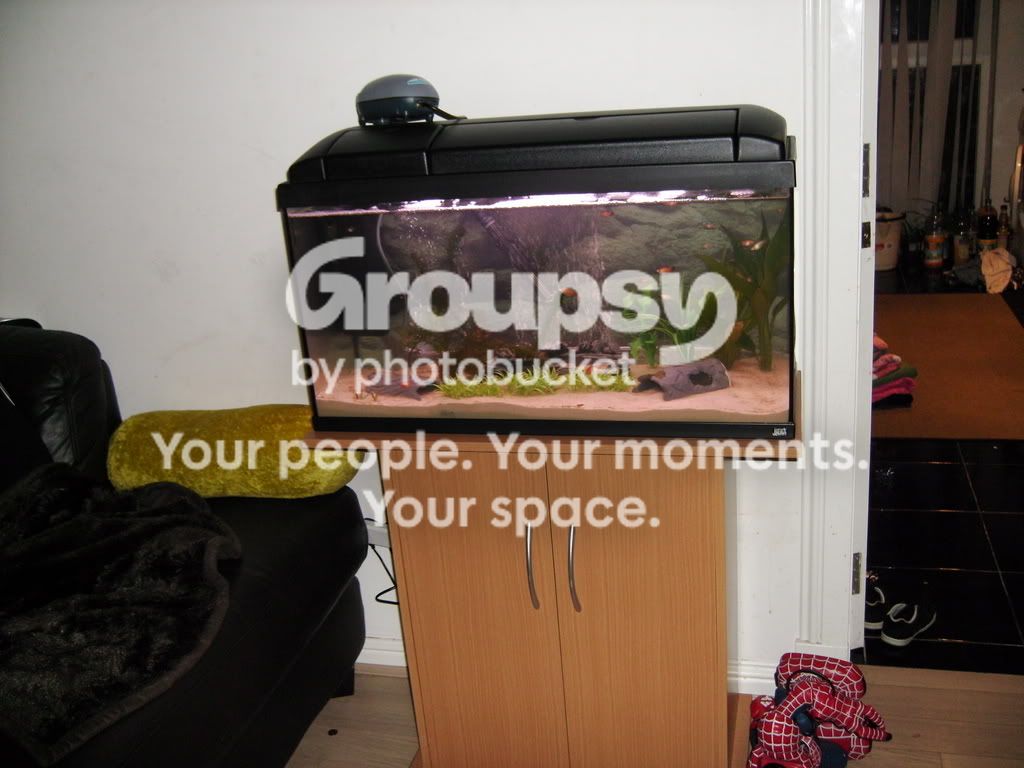 003-8.jpg
