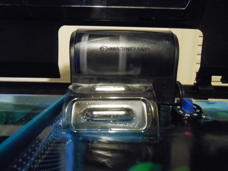 DSCN2162.jpg