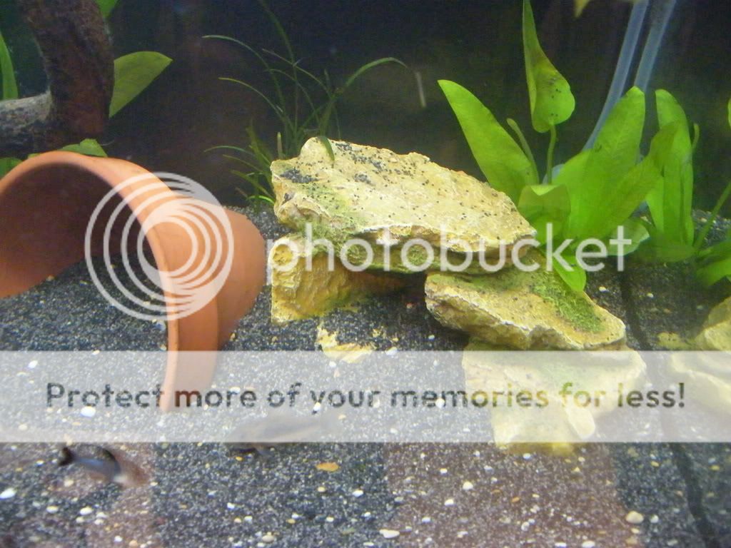 DSCF4302.jpg
