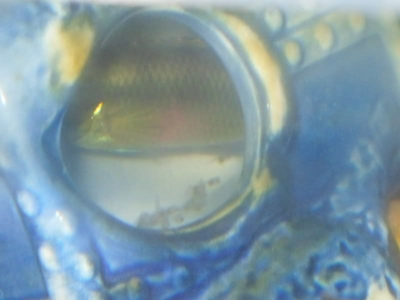 SDC10238.jpg