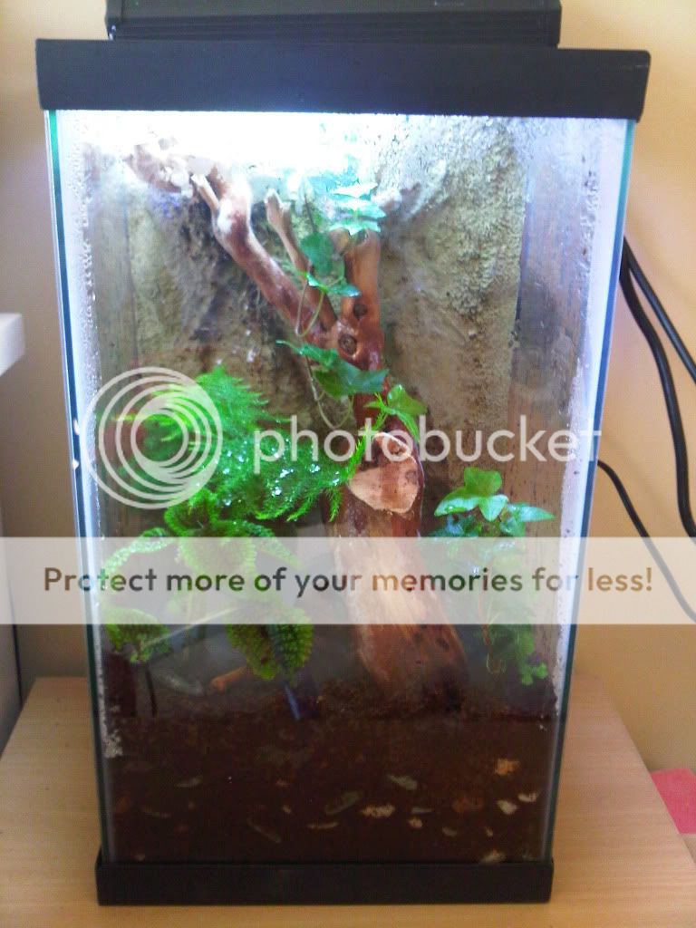 IMG00008-20100723-1052.jpg