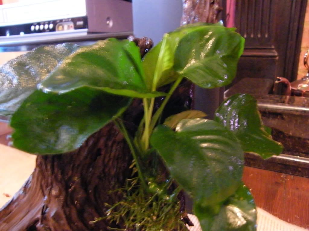 DSCF4896.jpg