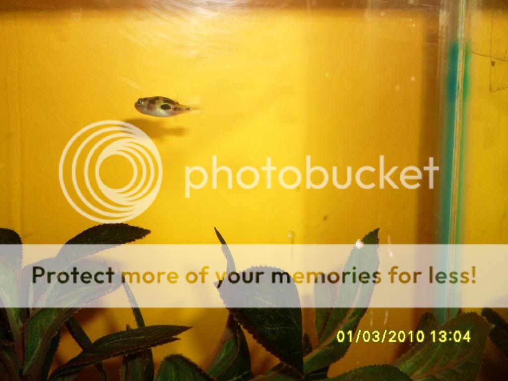 march2010038.jpg