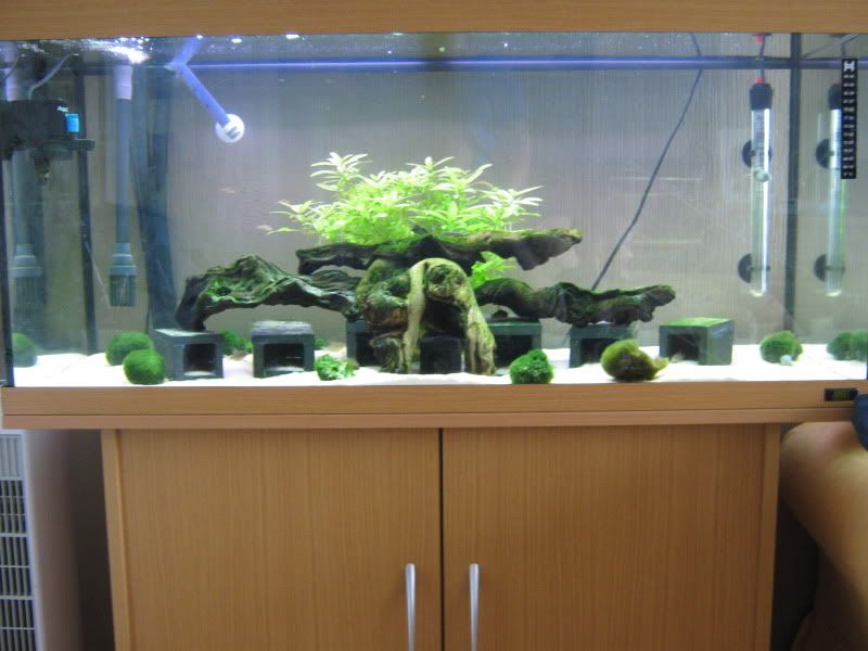 Picture003-2.jpg