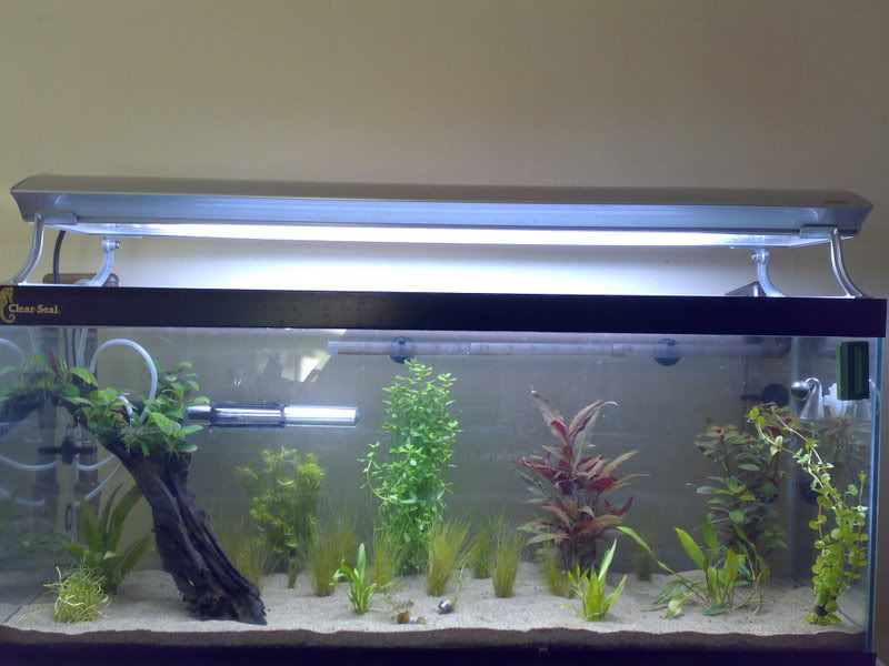 20102007356.jpg