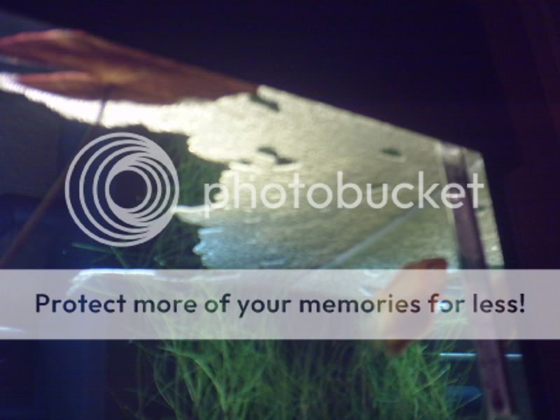 digicam157.jpg