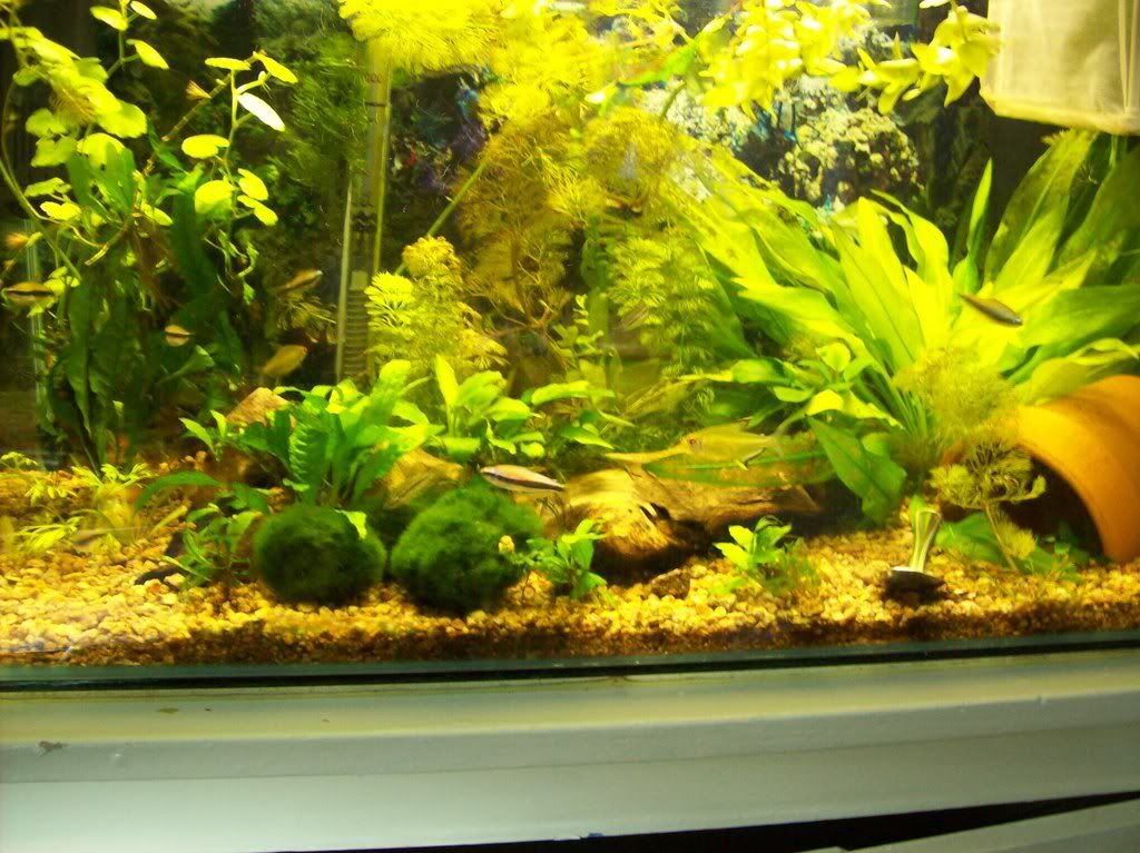 100_0123.jpg