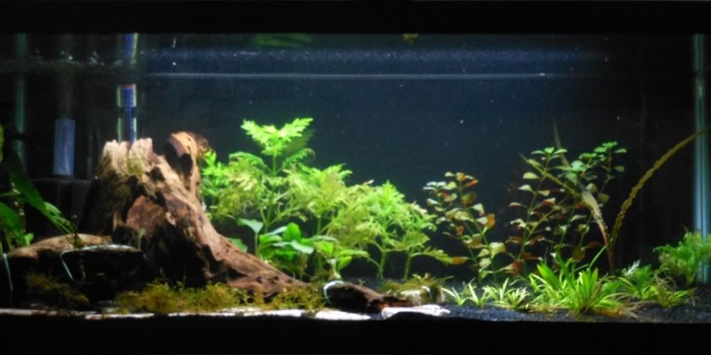 DSCN1325.jpg