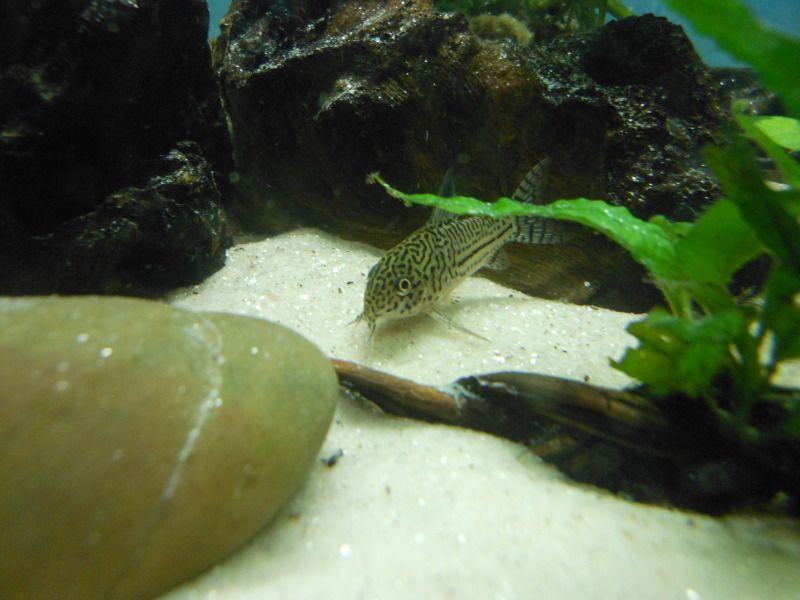 DSCN1082.jpg