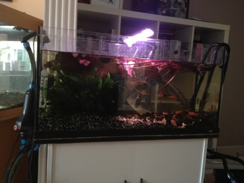 tank033.jpg