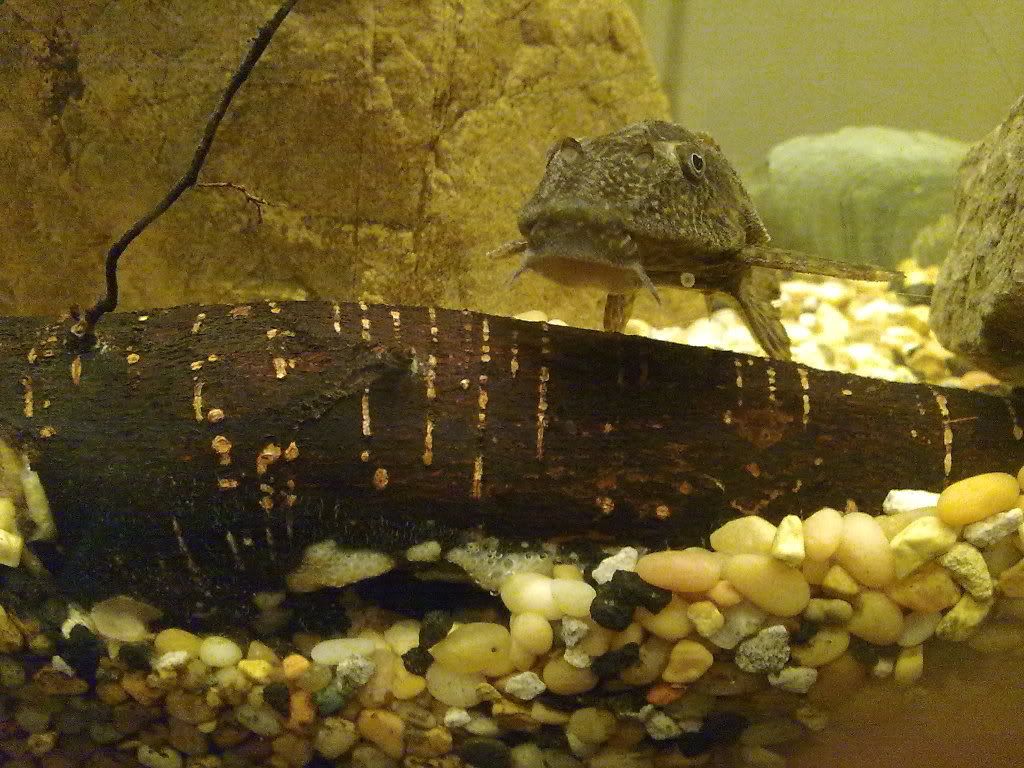 Image002.jpg