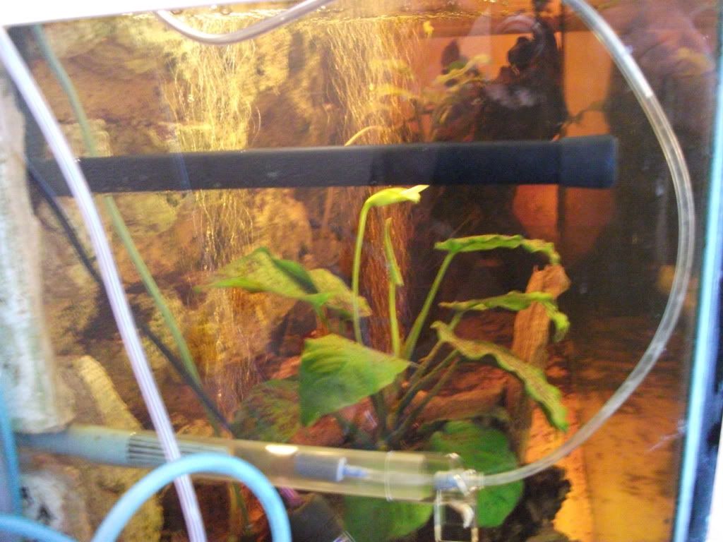 DSCF0454.jpg
