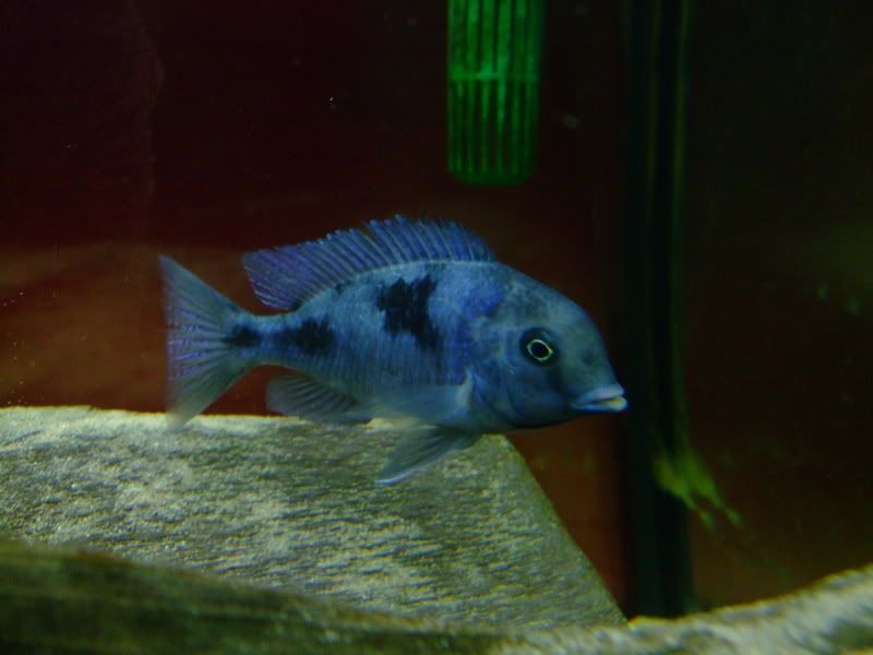 DSCF2412.jpg