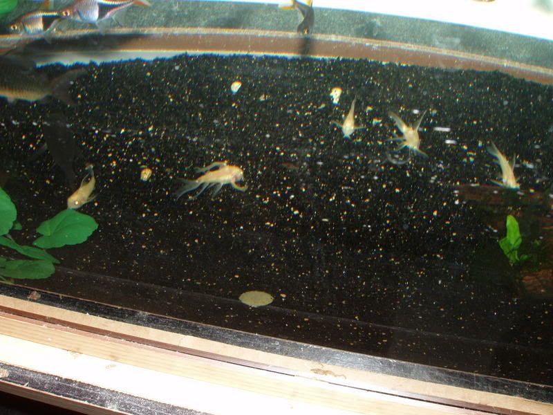 PA010049.jpg