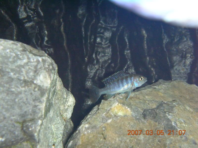 DSCN1606.jpg