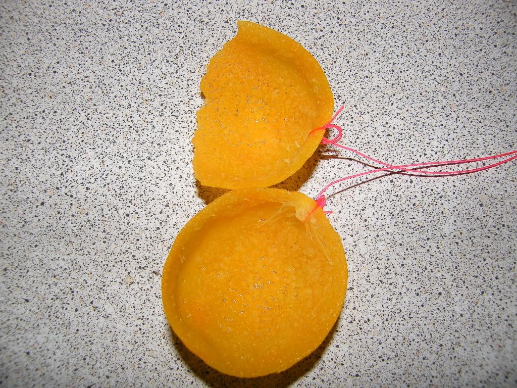DSCF7428.jpg