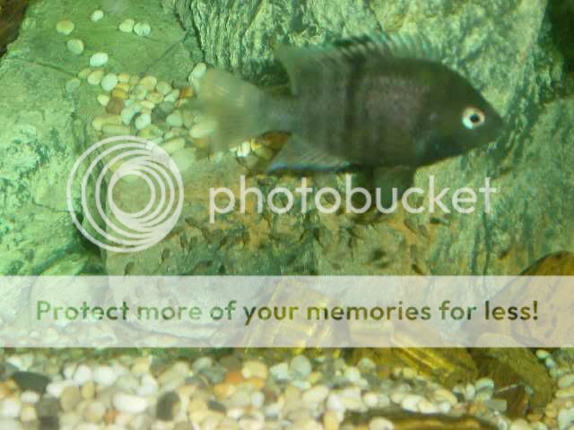 DSC01845edit.jpg
