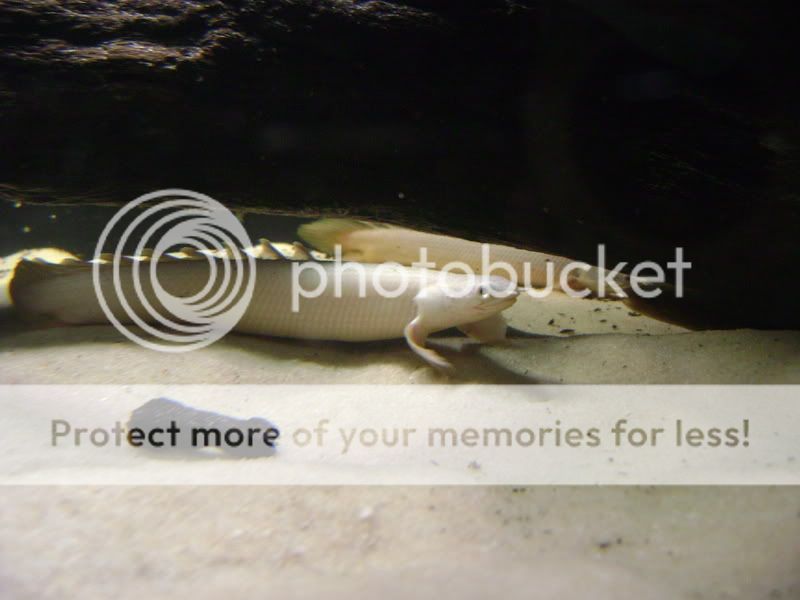 DSC01724.jpg
