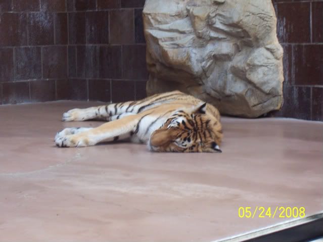 100_3271.jpg