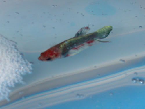 DSCN3691.jpg