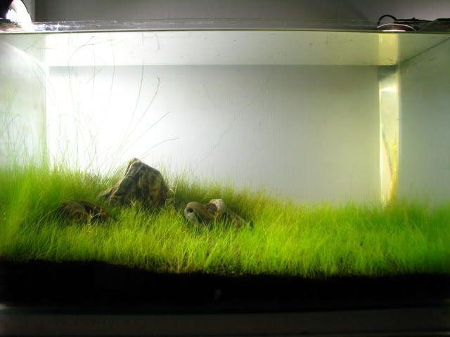 Picture010-7.jpg