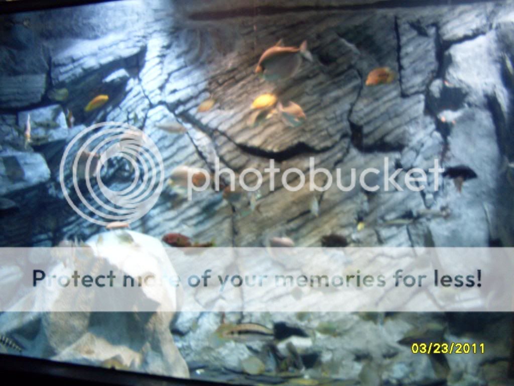 SDC126292.jpg