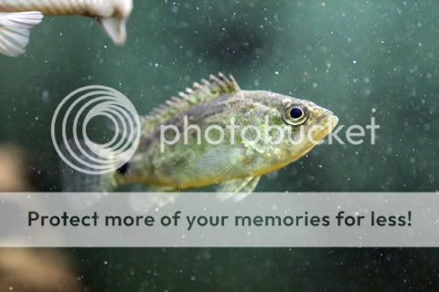 IMG_0124.jpg