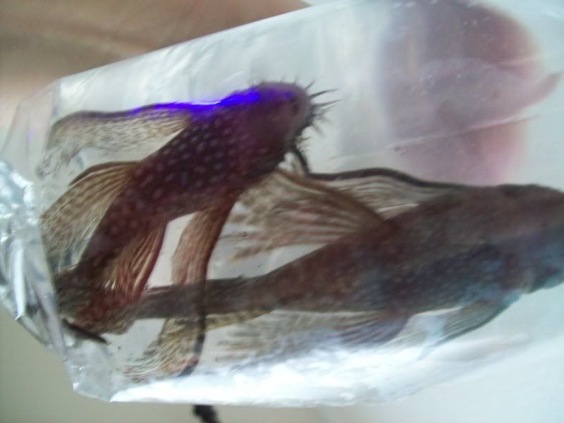 100_0507.jpg