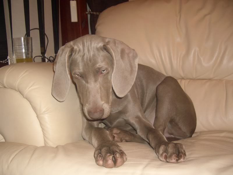 IMGP2169.jpg