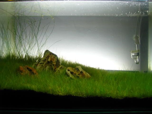 Picture006-10.jpg